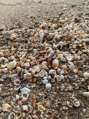 pebbles on the beach