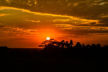 Landscape at the Serengeti national park at sunset, Tanzania