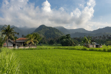 Ricefields and hills of touristic Amed village in rural part of tropical Bali island, Karangasem...