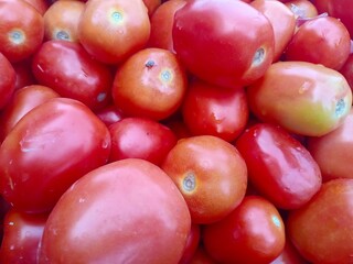 Closeup of Tomatos on the market
