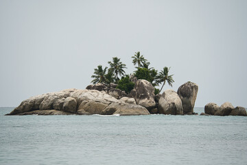 l'ilot island with few coconut palm trees, Mahe Seychelles