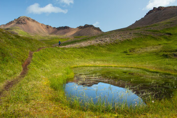 Hiking path and a small pond in the area of Borgarfjörður Eystri landscape in southeastern iceland