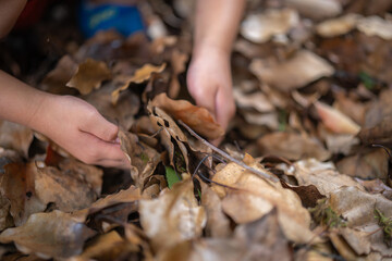 落ち葉で遊ぶ子ども