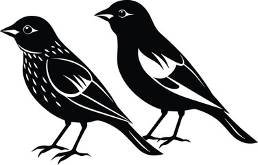 set of birds vector illustration