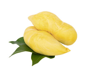 King of fruits, durian on transparent png