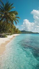 Fototapeta premium palm trees on the beach