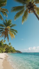 palm trees on the beach