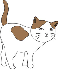 Cute cartoon bicolor cat on transparent background.
