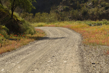 Un camino de tierra una tarde de primavera