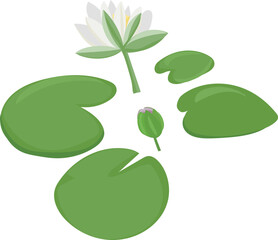 Cartoon lotus leaf illustration on transparent background.

