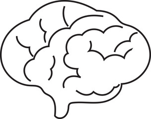 Hand drawn brain illustration on transparent background.

