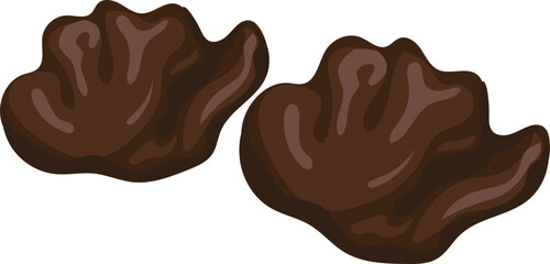 Jelly ear mushroom illustration on transparent background.
