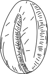 Hand drawn coffee bean on transparent background.
