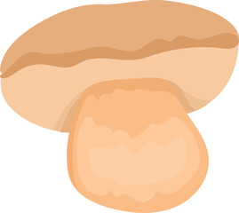 Mushroom illustration on transparent background.
