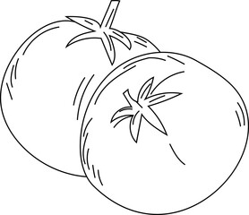 Hand drawn tometo illustration on transparent background.
