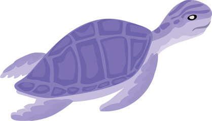 Sea ​​turtle illustration on transparent background.