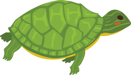 Tortoise illustration on transparent background.
