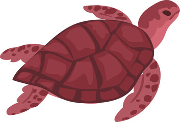 Sea ​​turtle illustration on transparent background.