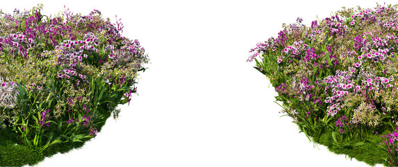3D render garden decorated with orchids Multiple formats on a transparent background