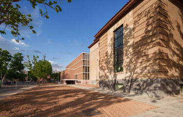 university faculty and university environment