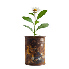 Rejuvenation growth concept with isolated plant and flower emerging from a rusted can against a white background 
