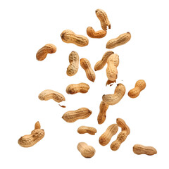 Tasty and nourishing flying peanuts against a white background 