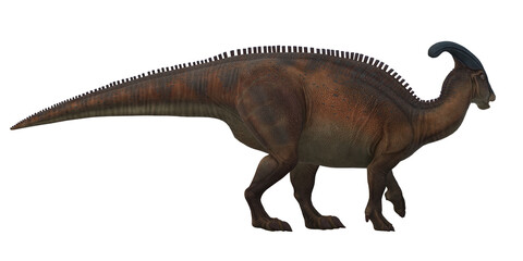 Parasaurolophus on a Transparent Background