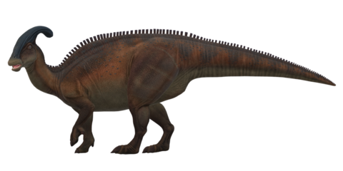 Parasaurolophus on a Transparent Background