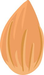 Cartoon almond transparent background.
