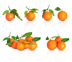 Tangerine Isolated on White Collection. Isolated citrus collection. Set of mandarins with leaves isolated on white background. PNG photo