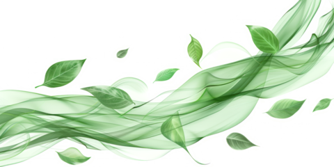 Smooth lines of green leaves on a white background, evoking the feeling of the rapid movement of a gust of wind.