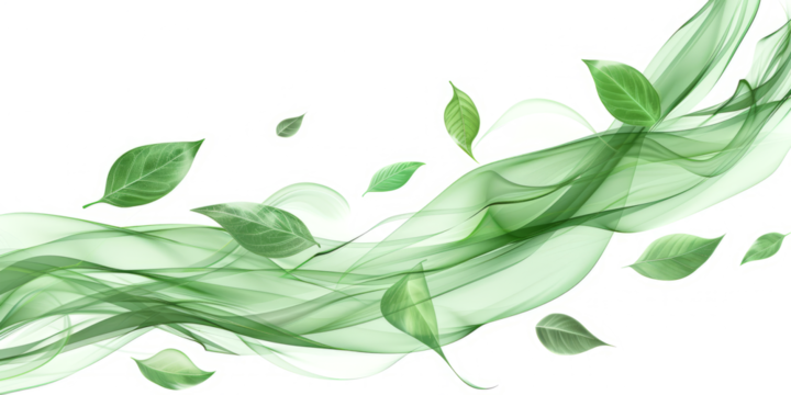 Smooth lines of green leaves on a white background, evoking the feeling of the rapid movement of a gust of wind.