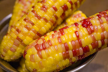 close-up of glutinous rice corn with its colorful and uniquely textured kernels that stand out from...