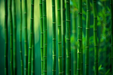 AI generated illustration of green bamboo plants in a forest