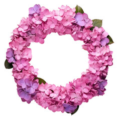 PNG Blossom flower petal plant.