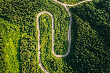 Winding road that passes through a coniferous forest. Carpathian mountains, Ukraine, Europe.