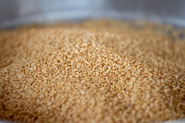 Close-up of Organic natural white sesame seeds