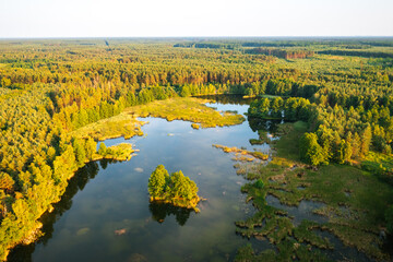 Drone view of a quiet lake surrounded by a coniferous forest. Small Polissya, Ukraine, Europe.
