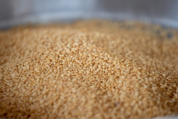 Close-up of Organic natural white sesame seeds