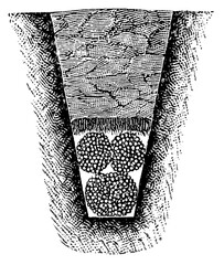 Soil improvement. Fascine drain. Publication of the book "Meyers Konversations-Lexikon", Volume 7, Leipzig, Germany, 1910