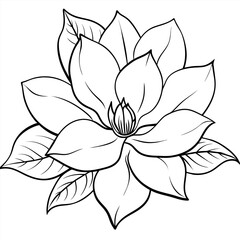 Fototapeta premium Magnolia flower outline illustration coloring book page design,Magnolia flower black and white line art drawing coloring book pages for children and adults 