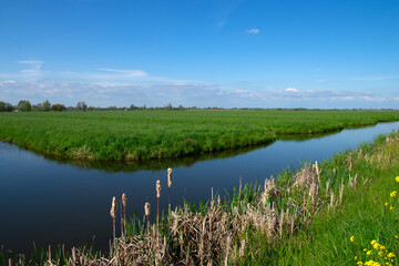 Landscape green meadow and canal with clear water