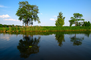 Landscape of a lake and blue sky reflected.