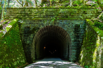 苔と山の中にある古いトンネル
