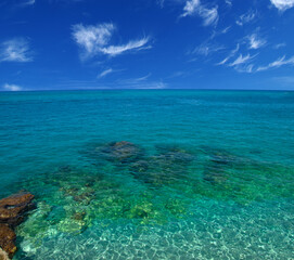 Landscape of the blue sea