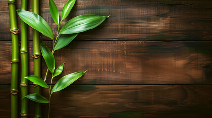 Elegant image of green bamboo stalks and leaves on a dark wooden background.