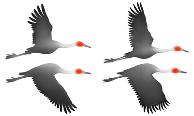 Flying crane watercolor illustration isolated on transparent background, silhouette illustration