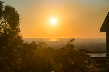 Evening sky in Adelaide Australia with palm tree and skyline in the distance