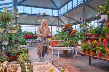 woman pushing a shopping trolley in a plant shop or a greenhouse choosing flowers
