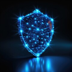 Digital Shield, Network Protection Concept